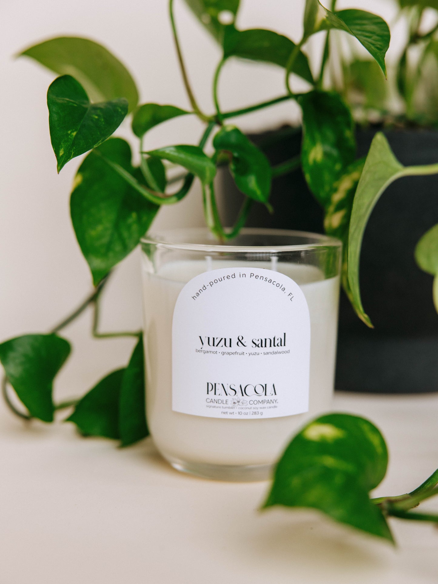 Yuzu & Santal